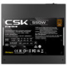 ANT CSK550DC EC 80+ Bronze 550W F120MM | ECP Grossiste informatique