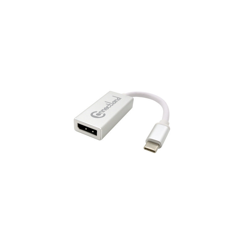 Adaptateur USB Type-C vers Displayport Alluminium | ECP Grossiste informatique