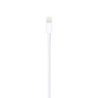 Apple Câble Lightning vers USB (1 m)