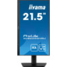 IIYEC045703 21.5p IPS FHD 1ms 300cd m² HDMI DP 2xUSB 2x2W Règlable Noir