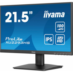 IIYEC045582 21.5p IPS FHD 1ms 250cd m² HDMI DP 2x2W Noir