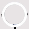 ONLAN AE-30 - HALO LED STREAMING - 11 LEDS - 28CM DIAM. - TREPIED 1.55m MAX - US | ECP Grossiste informatique