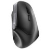 CHESO041133 CHERRY MW 4500 - SOURIS SANS FIL - ERGONOMIQUE - DROITIER - NOIR