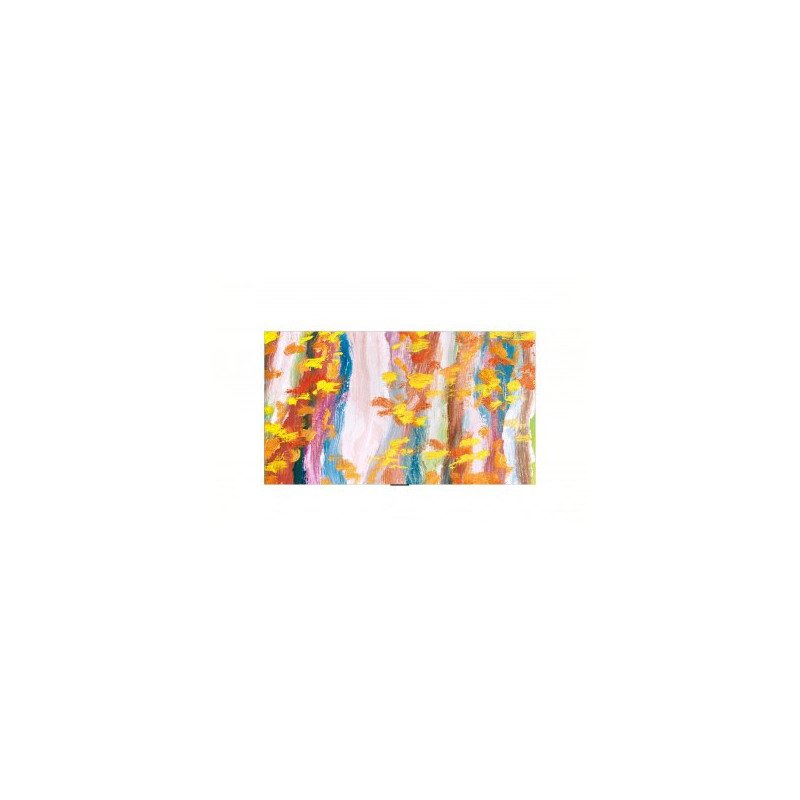 LG TV 65p OLED 3840x2160 UHD 4K VESA 300 x 200 Reconditionnée | ECP Grossiste informatique