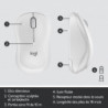 Wireless Combo MK295 WHITE boite | ECP Grossiste informatique