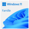 Windows 11 Home FR - Version DVD (OEI) pour Professionnels et Revendeurs