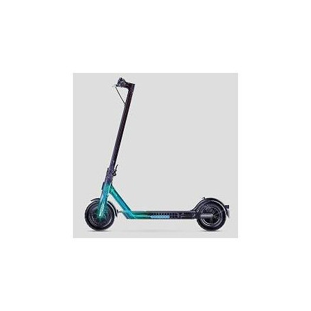 XIAOMI MI ELECTRIC SCOOTER ESSENTIAL | ECP Grossiste informatique