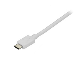 STAUS030184 USB Type-C vers DisplayPort de 1,8 m Blanc