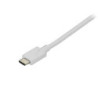 STAUS030184 USB Type-C vers DisplayPort de 1,8 m Blanc