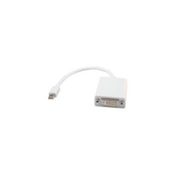Adaptateur Mini Displayport-DVI 0,10m | ECP Grossiste informatique