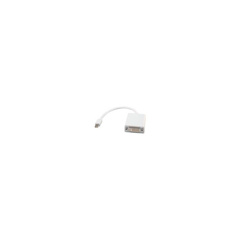 Adaptateur Mini Displayport-DVI 0,10m | ECP Grossiste informatique