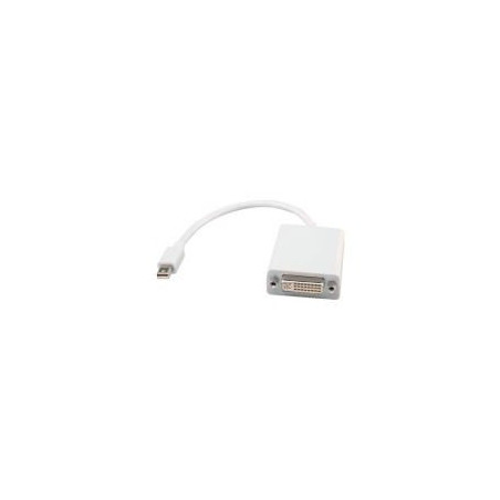 Adaptateur Mini Displayport-DVI 0,10m | ECP Grossiste informatique