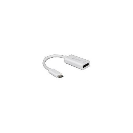Adaptateur USB-C vers DisplayPort M-F | ECP Grossiste informatique