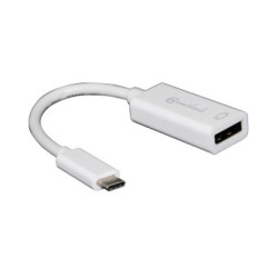 Adaptateur USB-C vers DisplayPort M-F | ECP Grossiste informatique