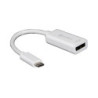 Adaptateur USB-C vers DisplayPort M-F | ECP Grossiste informatique
