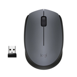 LOGSO026142 M170 BLACK Souris sans fil