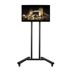 BTEEC035227 Grand chariot universel pour écrans plats support au sol (VESA 800 x 600) - 1.8m Ø50mm Poles - Noir - Gar10ans