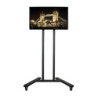 BTEEC035227 Grand chariot universel pour écrans plats support au sol (VESA 800 x 600) - 1.8m Ø50mm Poles - Noir - Gar10ans