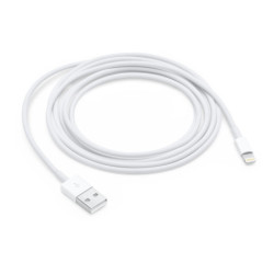 APLSY031693 APPLE Câble Lightning vers USB (2 m)