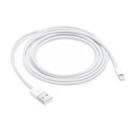 APLSY031693 APPLE Câble Lightning vers USB (2 m)