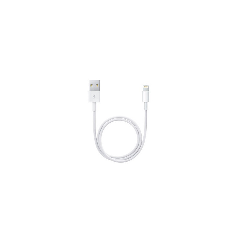 APLSY031697 APPLE Câble Lightning vers USB (0.5 m)
