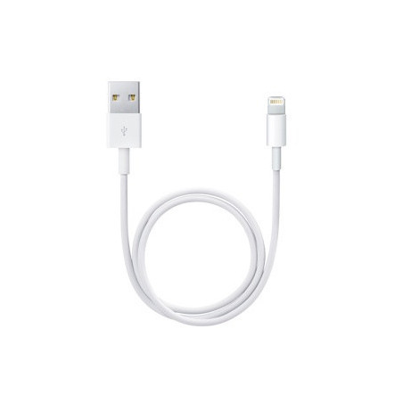APLSY031697 APPLE Câble Lightning vers USB (0.5 m)
