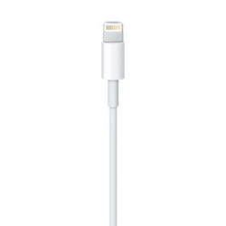 APLSY031697 APPLE Câble Lightning vers USB (0.5 m)