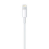 APLSY031697 APPLE Câble Lightning vers USB (0.5 m)
