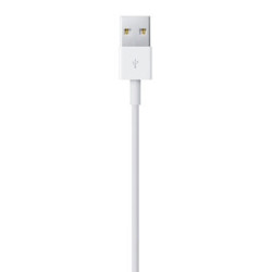 APLSY031697 APPLE Câble Lightning vers USB (0.5 m)