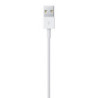 APLSY031697 APPLE Câble Lightning vers USB (0.5 m)